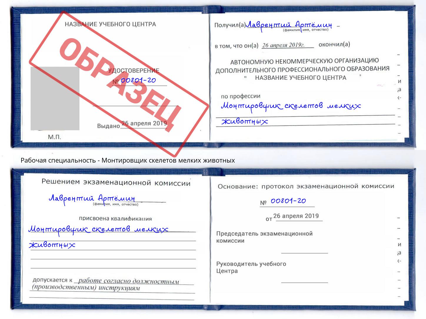 Монтировщик скелетов мелких животных Джанкой
