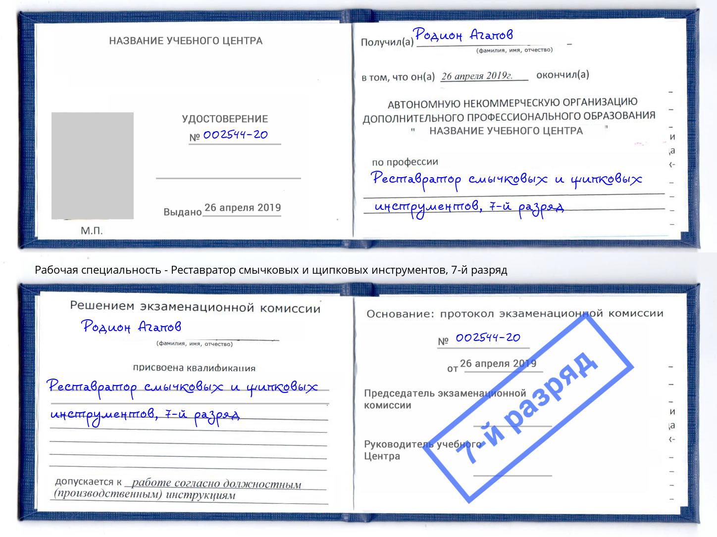 корочка 7-й разряд Реставратор смычковых и щипковых инструментов Джанкой