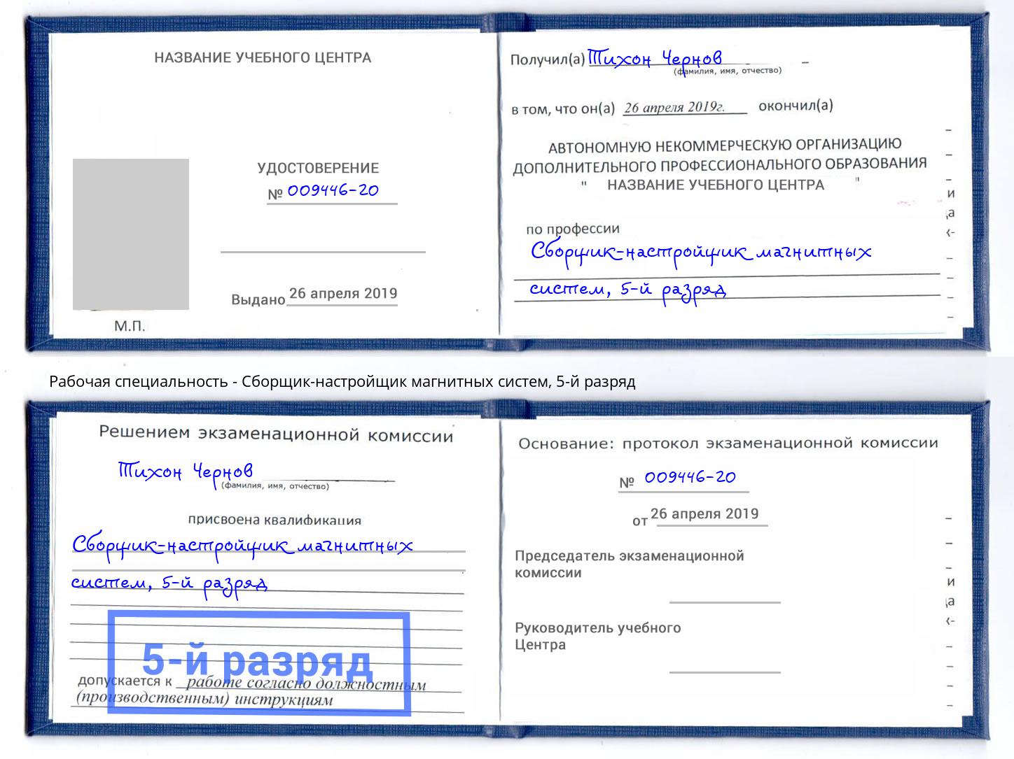 корочка 5-й разряд Сборщик-настройщик магнитных систем Джанкой